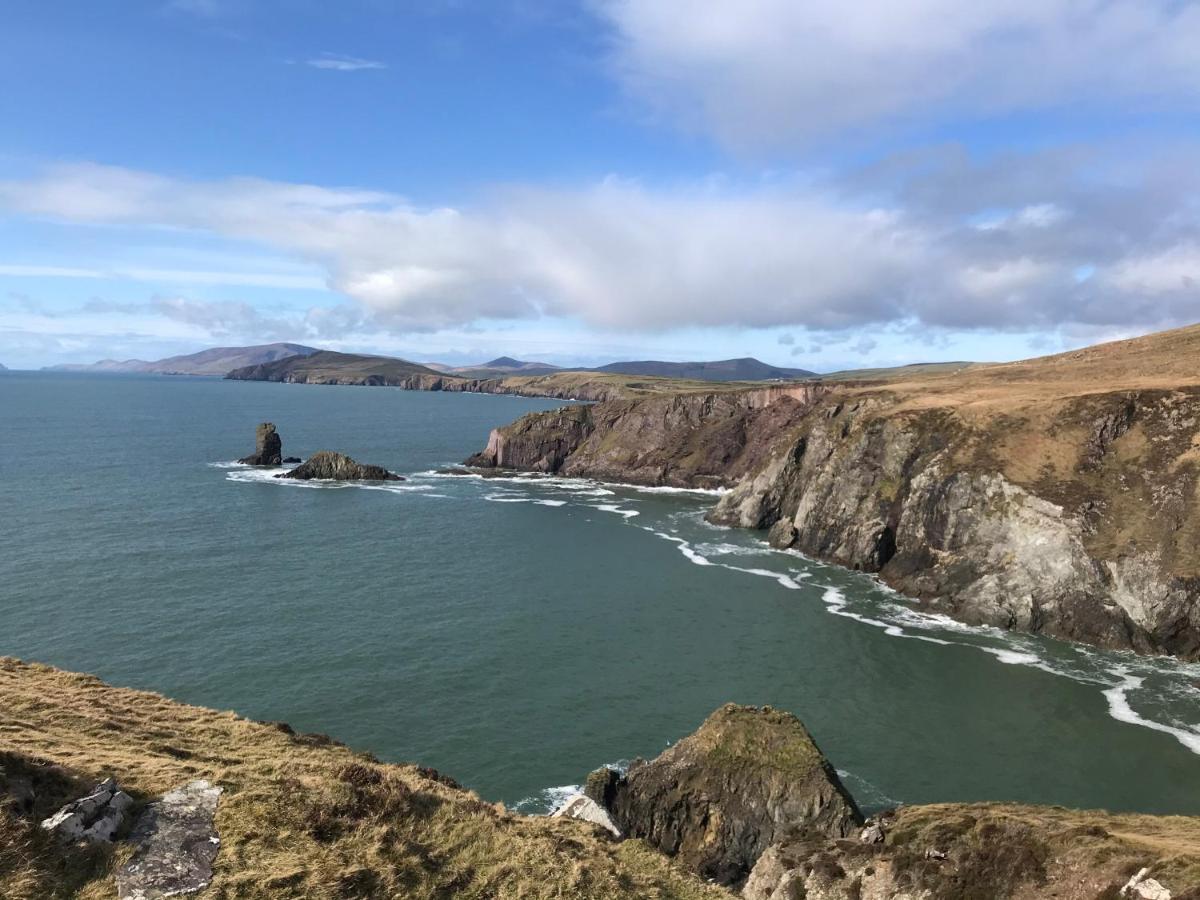 Ashes Seafood Restaurant Accommodation Dingle Exterior foto